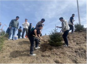 202507141752464770132550.png image.png